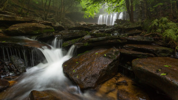 Картинка природа водопады лес водопад поток