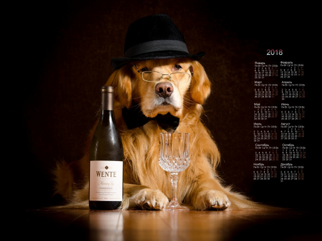 Обои картинки фото календари, животные, собака, взгляд, очки, шляпа, фужер, бутылка