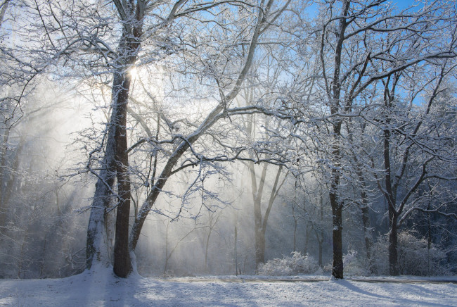 Обои картинки фото природа, зима, простор