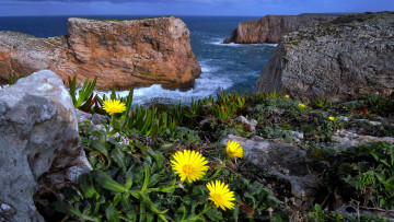 Картинка atlantic+coast+of+portugal природа побережье atlantic coast of portugal