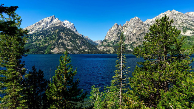 Обои картинки фото jenny lake, grand teton national park, wyoming, природа, реки, озера, jenny, lake, grand, teton, national, park