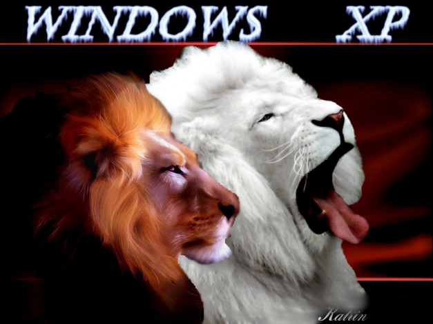 Обои картинки фото lions, remix, компьютеры, windows, xp