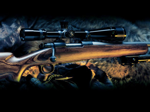 Картинка оружие винтовки прицеломприцелы