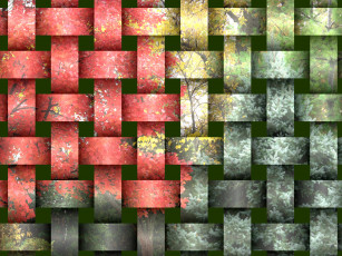 Картинка разное компьютерный дизайн полосы деревья