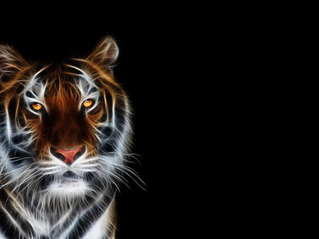 Обои картинки фото 3д, графика, animals, животные, фон, тигр, тёмный