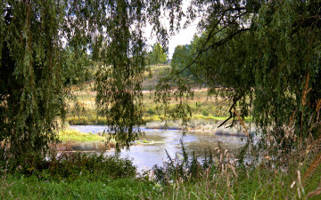 Картинка латвия кулдига природа реки озера река лес