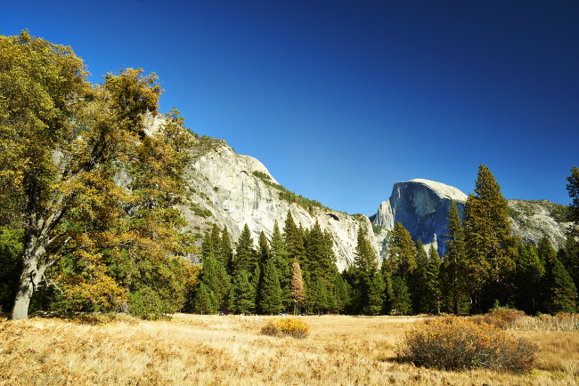 Обои картинки фото california,    yosemite national park, природа, горы