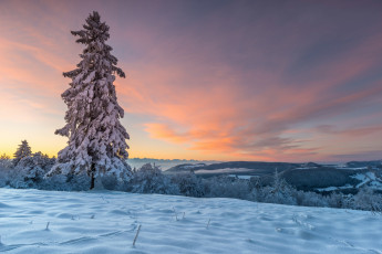 Картинка природа зима снег деревья лес