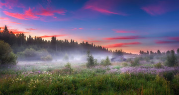 Картинка природа пейзажи утро поле лето туман