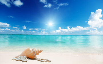 обоя разное, ракушки,  кораллы,  декоративные и spa-камни, sea, beach, sand, seashell, sunshine