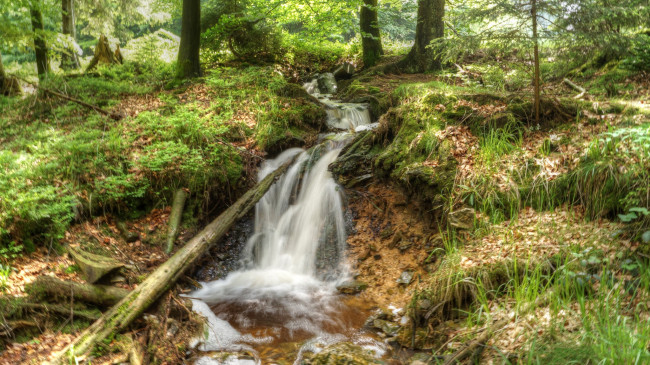 Обои картинки фото природа, водопады, река, водопад, лес