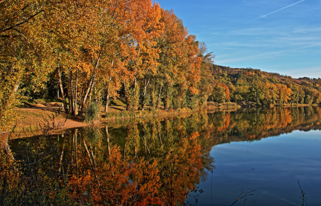 Обои картинки фото природа, реки, озера, лес, река