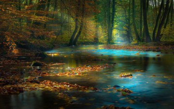 Картинка природа реки озера лес ручей дымка