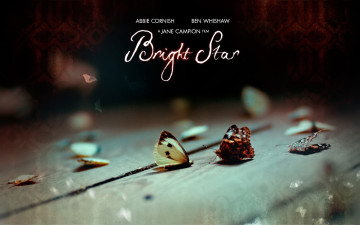 Картинка кино+фильмы bright+star бабочки мертвые