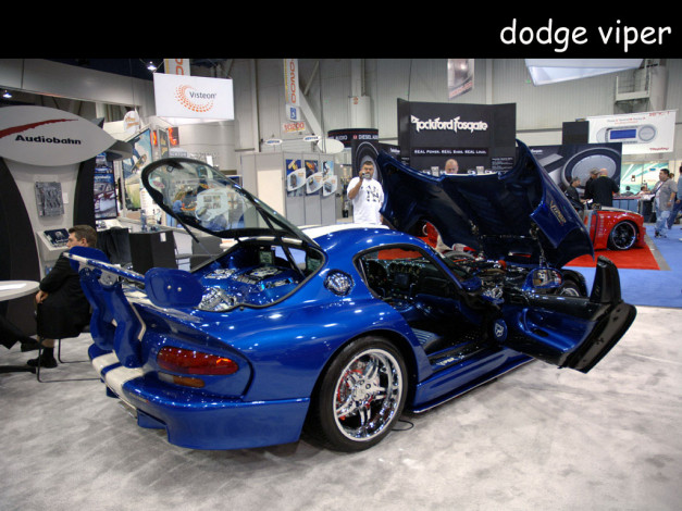 Обои картинки фото dodge, viper, автомобили