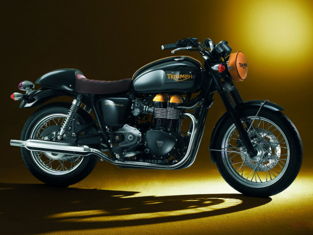 Обои картинки фото triumph, bonneville, 2008, мотоциклы