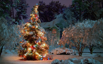 Картинка праздничные Ёлки зима деревья снег
