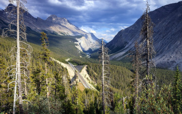 Картинка природа горы дорога