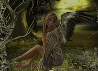 Картинка фэнтези ангелы девушка взгляд фон лес крылья ангел