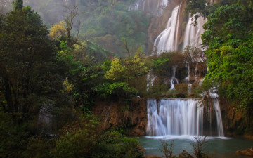 Картинка природа водопады деревья листья джунгли