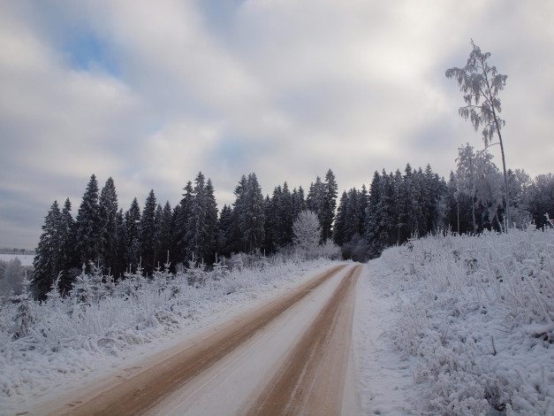 Обои картинки фото природа, дороги, снег, деревья, дорога, зима, небо