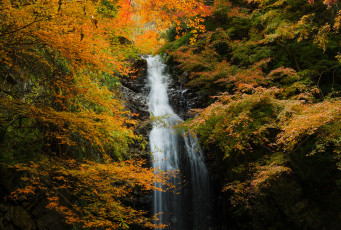 Картинка природа водопады поток лес осень скала водопад