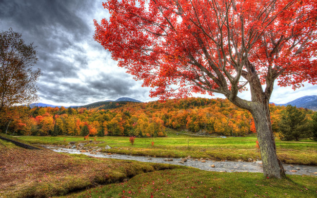 Обои картинки фото природа, реки, озера, деревья, осень