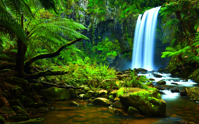Обои картинки фото природа, водопады, поток, камни, лес