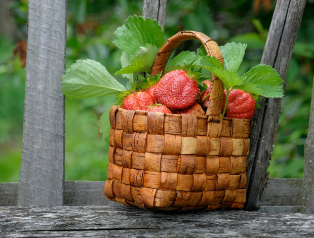 Обои картинки фото еда, клубника,  земляника, корзинка, ягоды