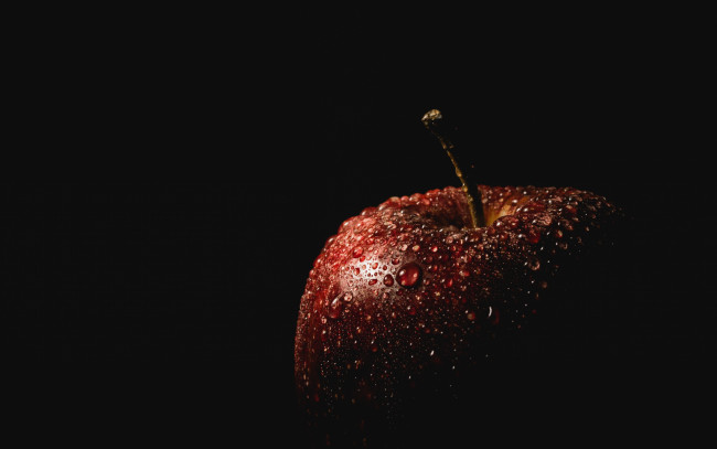 Обои картинки фото еда, Яблоки, яблоко