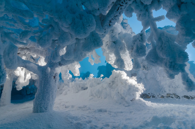 Обои картинки фото природа, зима, россия, наледь, деревья, снег