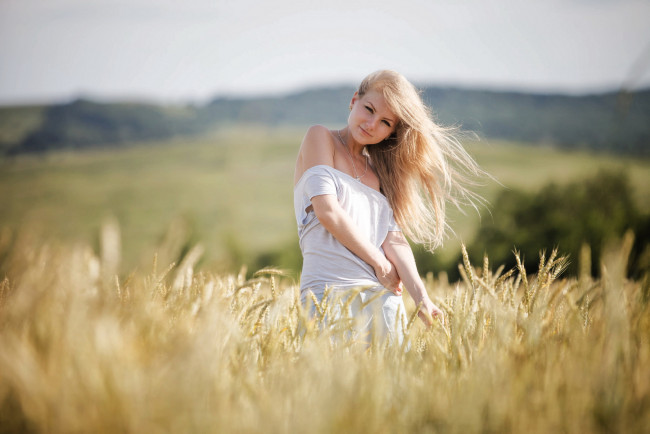 Обои картинки фото девушки, - блондинки,  светловолосые, блондинка, поле, лето