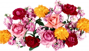 Картинка цветы разные вместе хризантемы розы