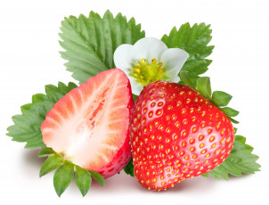 Картинка еда клубника земляника цветок ягоды