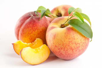 Картинка еда персики сливы абрикосы фрукты витамины