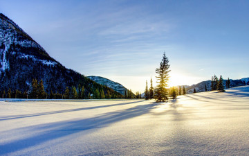 Картинка природа зима горы поле снег елка