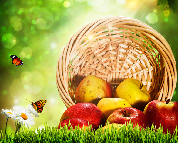 Обои картинки фото еда, Яблоки, корзинка, фрукты, бабочки
