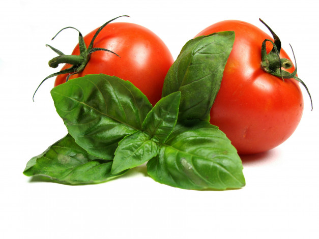 Обои картинки фото еда, помидоры, томат, листья, томаты