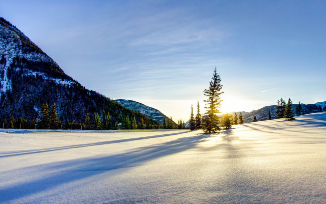 Обои картинки фото природа, зима, горы, поле, снег, елка