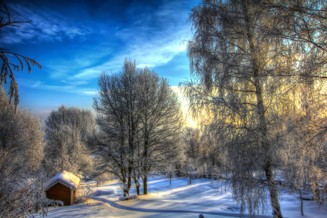 Обои картинки фото природа, зима, снег, тропинка, березы, сарай