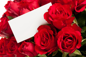 Картинка цветы розы красный записка