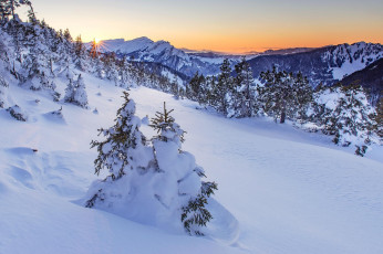 Картинка природа зима сугробы деревья снег