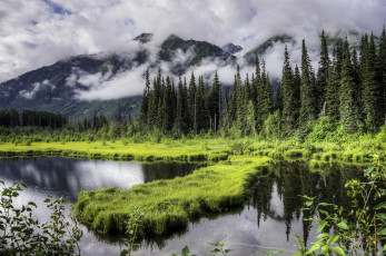 Картинка природа пейзажи пейзаж деревья горы озеро alaska