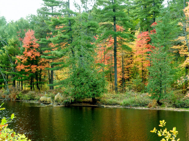 Обои картинки фото природа, реки, озера, река, осень, деревья