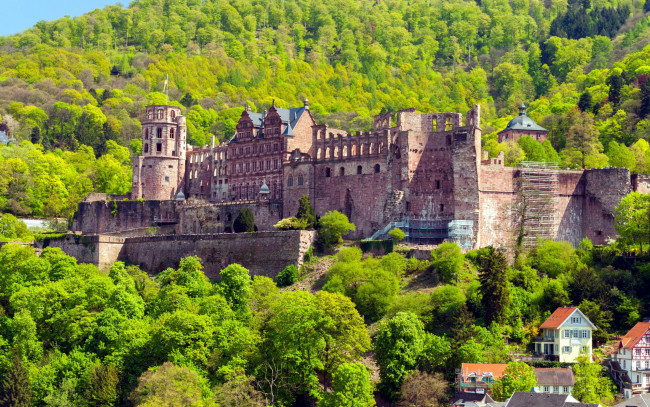 Обои картинки фото heidelberg castle, города, замки германии, heidelberg, castle