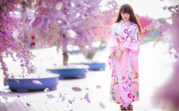 Картинка девушки -unsort+ азиатки кимоно цветение сакура японка деревья
