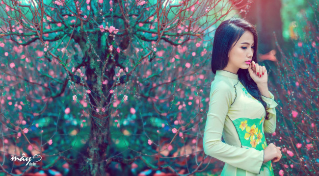 Обои картинки фото девушки, -unsort , азиатки, китаянка, сакура, сад, платье