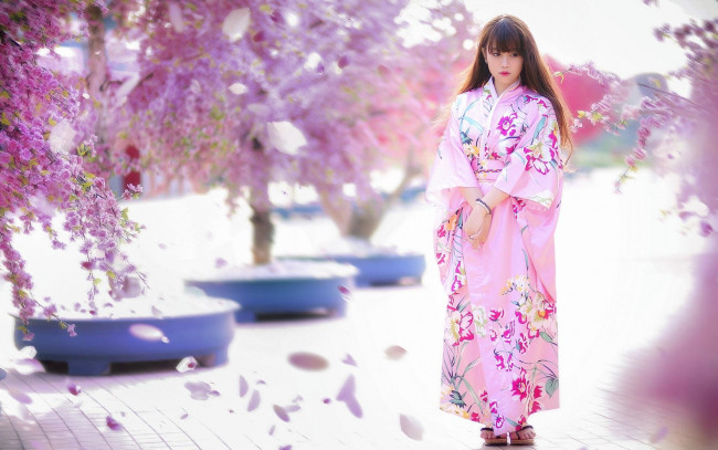 Обои картинки фото девушки, -unsort , азиатки, кимоно, цветение, сакура, японка, деревья