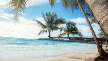 Картинка природа тропики море волны пальмы