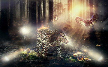 Картинка разное компьютерный дизайн огонь лес грибы леопард сова деревья